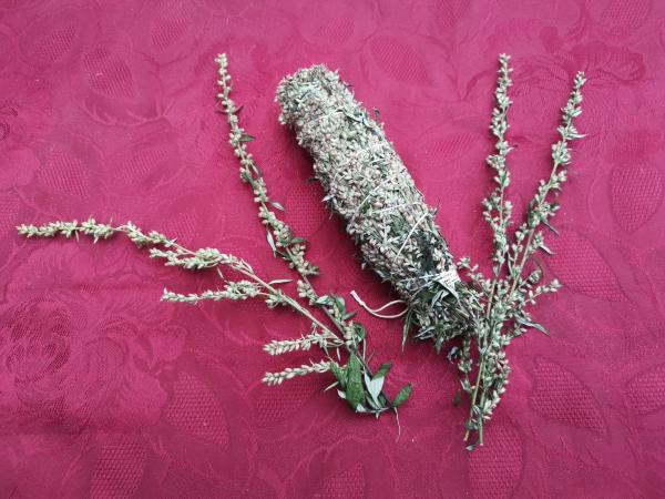 Beifuß-Räucherbündel